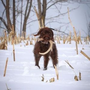 Meet your Posher, Nick